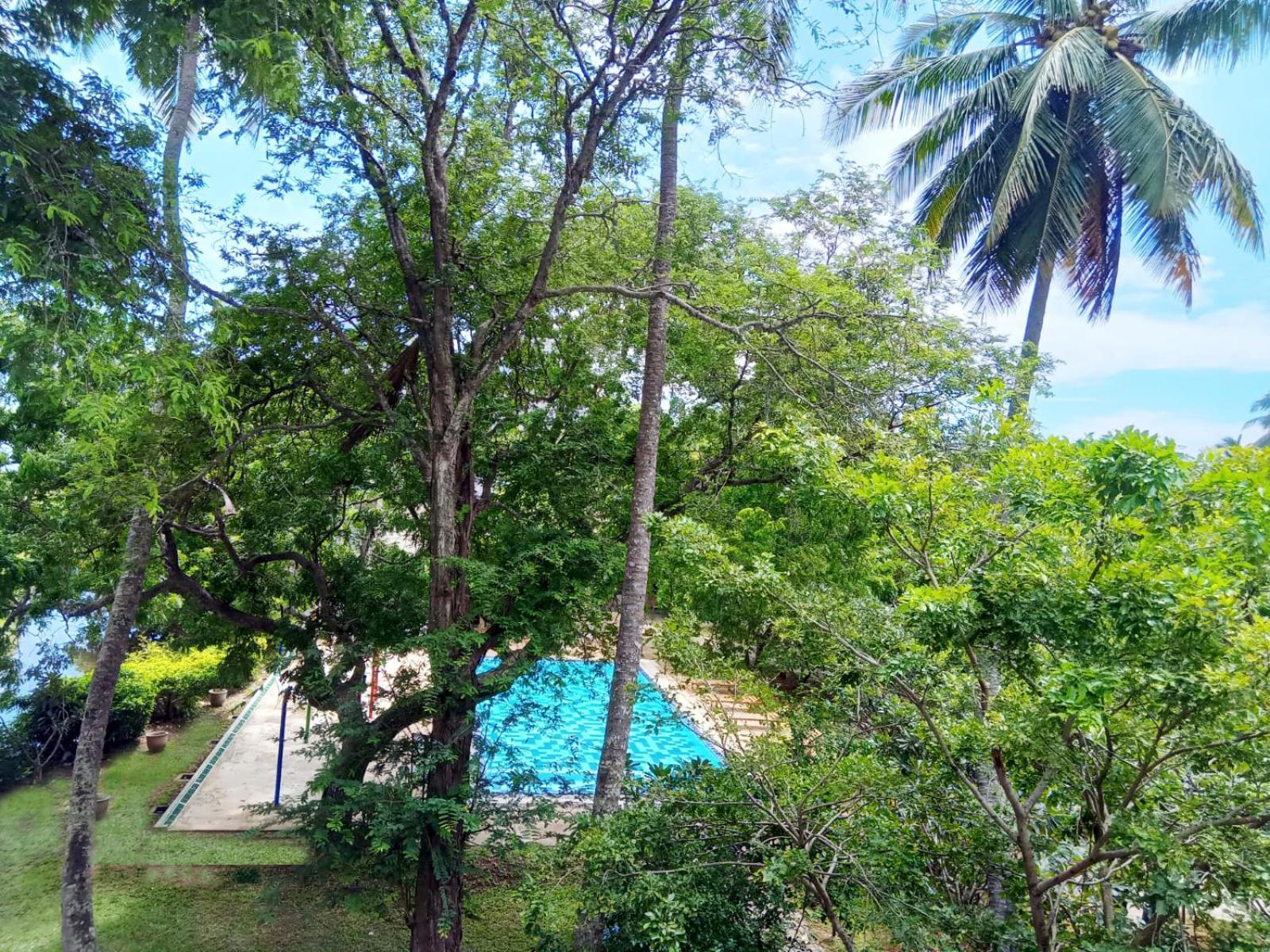 Jade Green Hotel ฮัมบานโตตา ภายนอก รูปภาพ