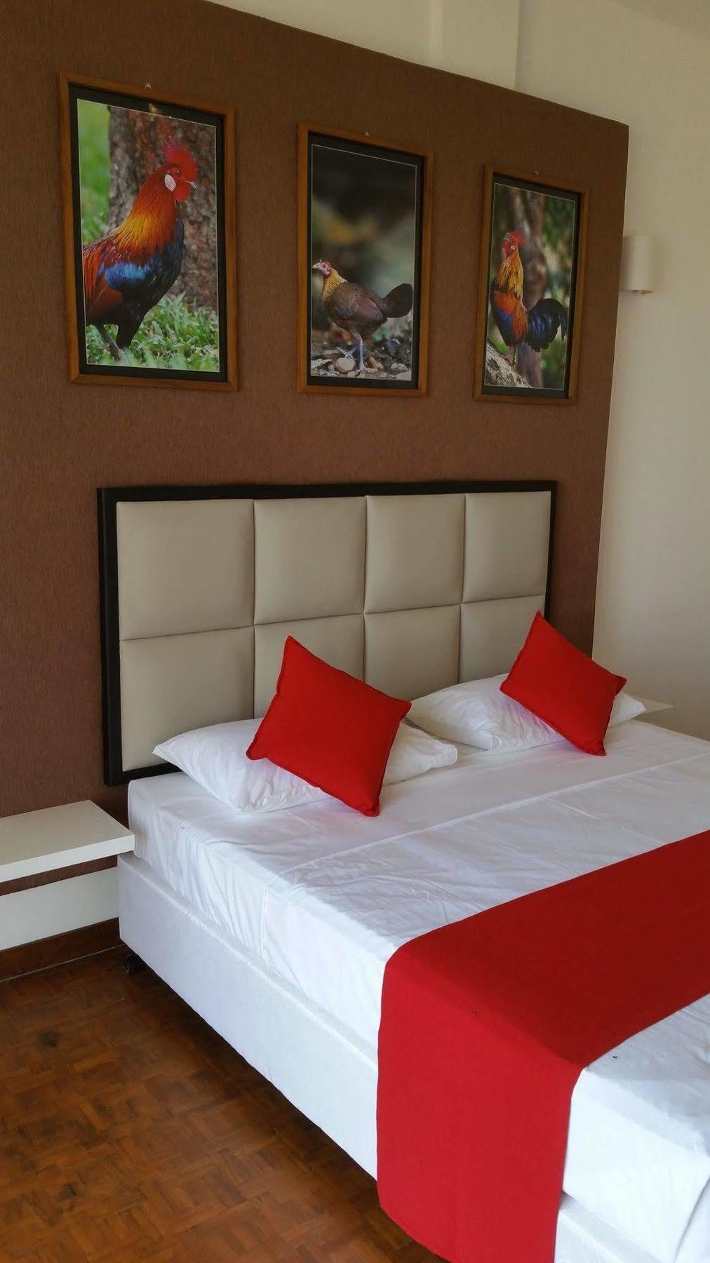 Jade Green Hotel ฮัมบานโตตา ภายนอก รูปภาพ